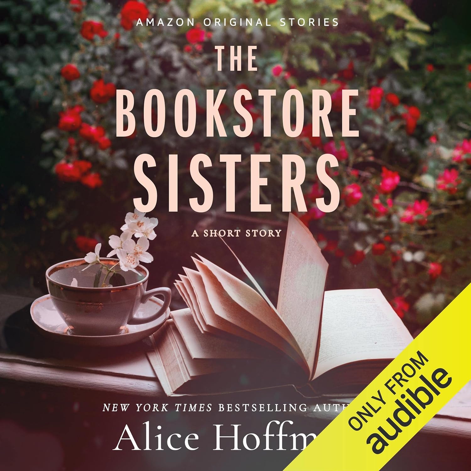 The Bookstore Sisters: A Short Story Review