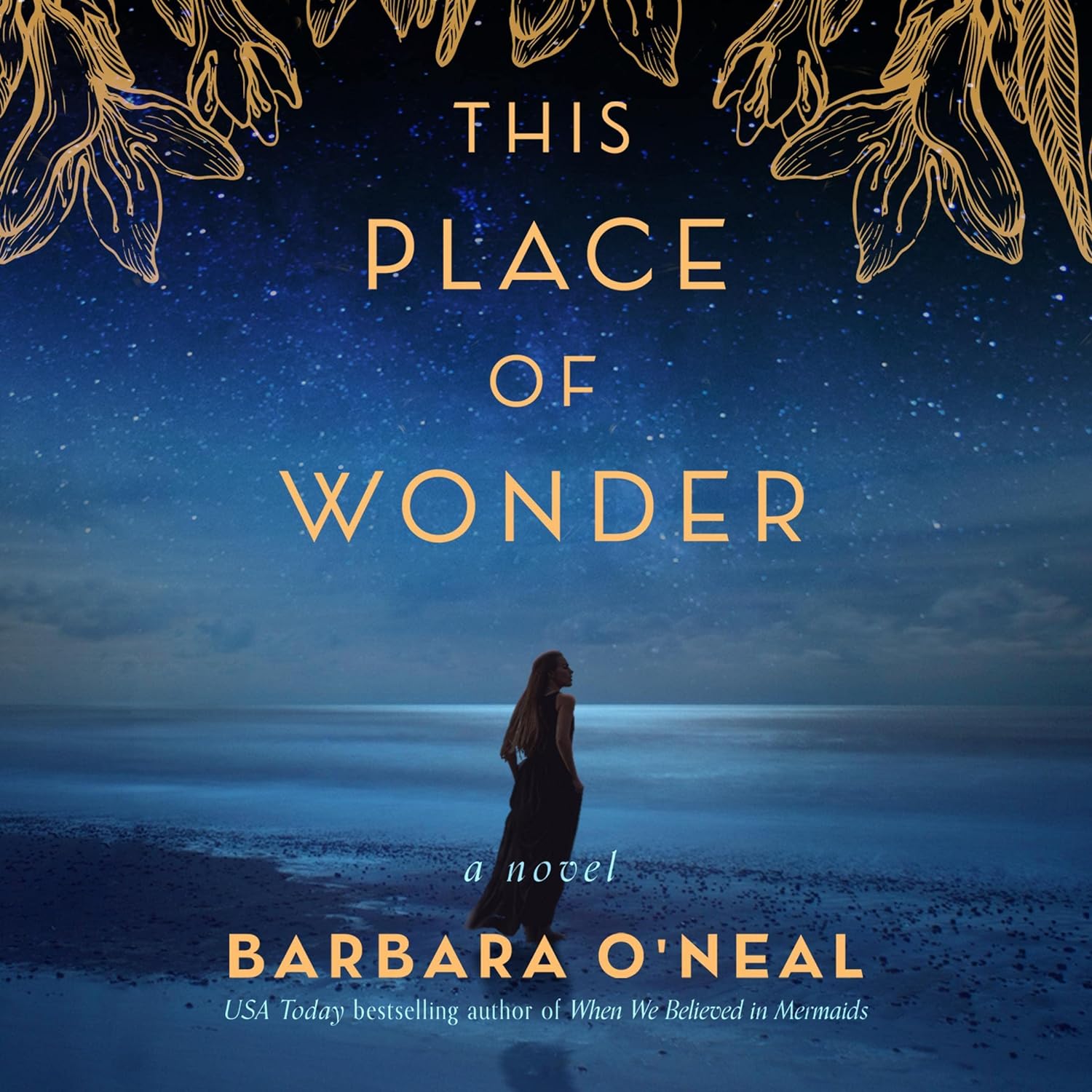 This Place of Wonder: Novel Review